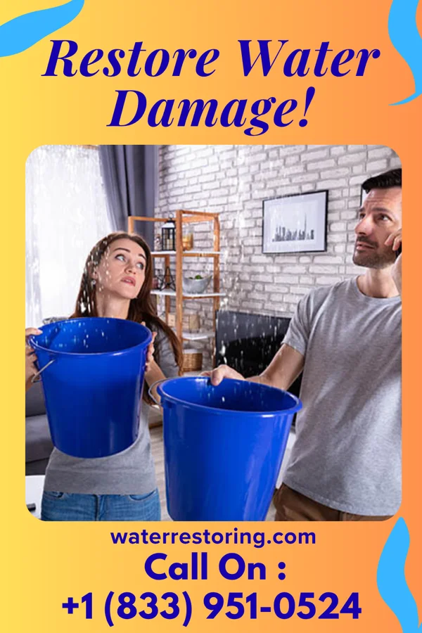 water restoration Coastal Water Cleanup Services Damascus