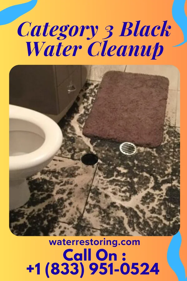 Category 3 Black Water Cleanup in Damascus, VA