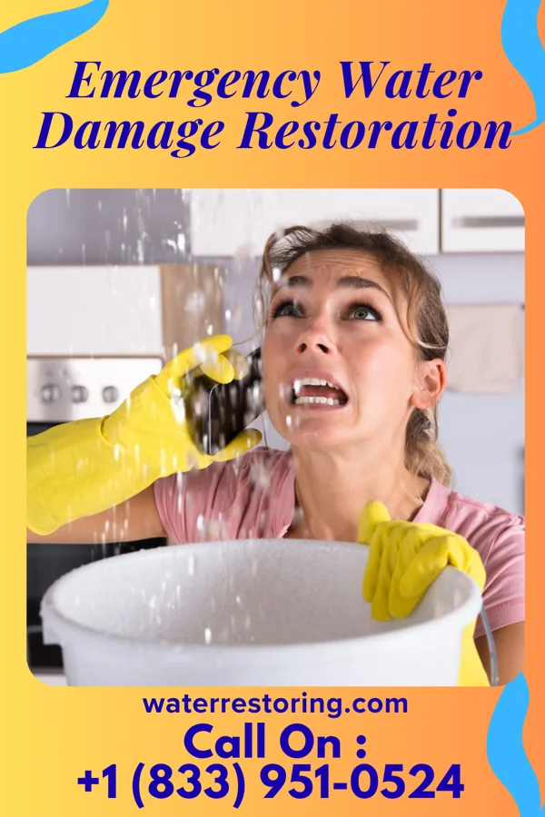 Emergency Water Damage Restoration in Damascus, VA